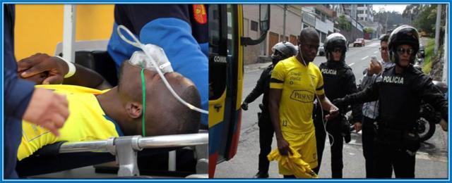 1669417301942078879.jpg 1669417301942078879.jpg